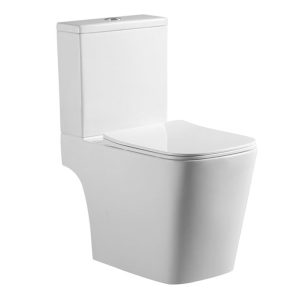 Washdown Two-pieces Toilet 9000