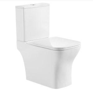 Washdown-Two-pieces-Toilet-9001