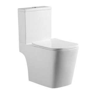 Washdown Two-pieces Toilet 9002