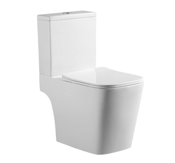 Washdown Two-pieces Toilet 9002